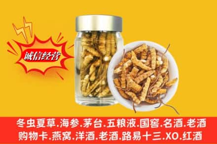 甘南卓尼县回收散虫草